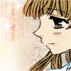 Fruits Basket
