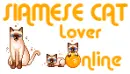Siamese cat lover online