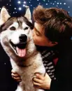 Daniel Radcliffe huging a husky