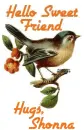 Hello Sweet friend-Hugs Shonna