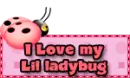 Ladybug