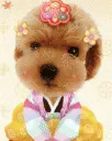 cute