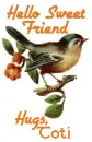 Hello Sweet friend-Hugs Toti