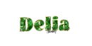 St. Patrick's Font: Delia