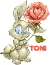 bunny with oranges rose