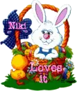 Bunny in a Basket with Niki