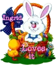 Bunny in a Basket with Ingrid