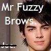 Mr Fuzzy Brows Joe Jonas