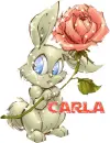 Carla