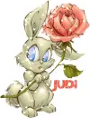 Judi