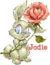 Jodie