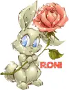 Roni