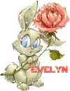 evelyn