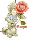 steph