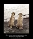 love