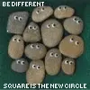 It's cool 2 b square