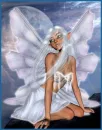 silver fairy