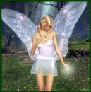 light fairy