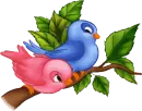 cute birds