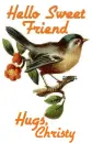 Hello Sweet friend-Hugs Christy