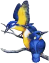 blue birds