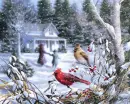 winter
