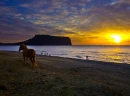 Jeju island