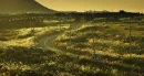Jeju island
