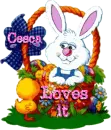 Bunny in a Basket with Cesca