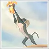 The Circle of Life