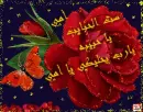 sit el habayeb