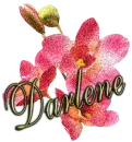 darlene