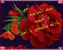 sit elhabayeb1