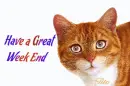 have a good week end