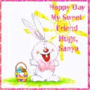 jumping bunny