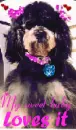 My baby loves it