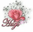 Colorful Rose