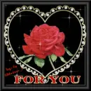 Rose 4 U