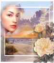 yellow rose