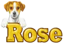 Puppy: Rose
