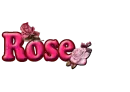 Pink Rose Bud & Flower: Rose
