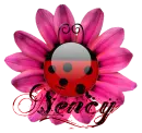 NENCY