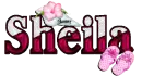 Sea Shell & Pink Slipper: Sheila