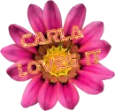 carla love's it