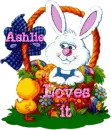 Bunny in a Basket with Ashlie