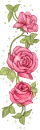 animated rose
