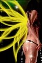 FAIRY