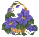 lovely flowers