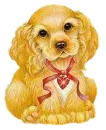 cute puppy