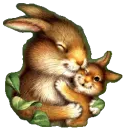 bunny love